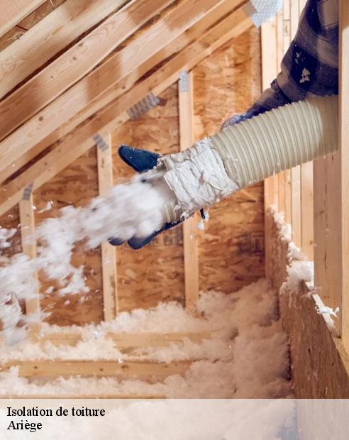 Isolation de toiture 09 Ariège  ALTURA Toiture 