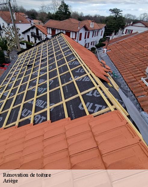 Rénovation de toiture 09 Ariège  ALTURA Toiture 