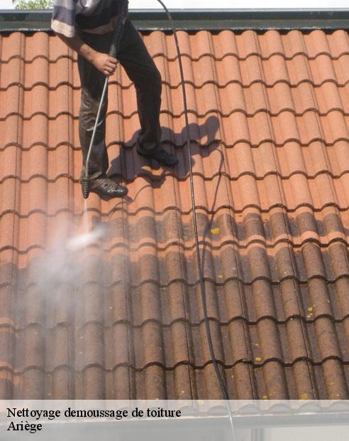 Nettoyage demoussage de toiture 09 Ariège  ALTURA Toiture 