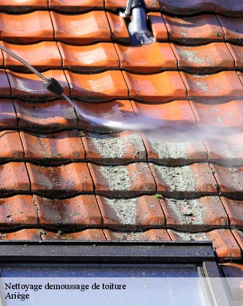 Nettoyage demoussage de toiture 09 Ariège  ALTURA Toiture 