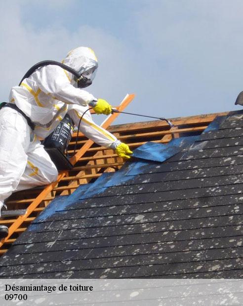 Désamiantage de toiture  labatut-09700 ALTURA Toiture 