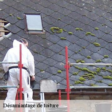 Désamiantage de toiture  leychert-09300 ALTURA Toiture 