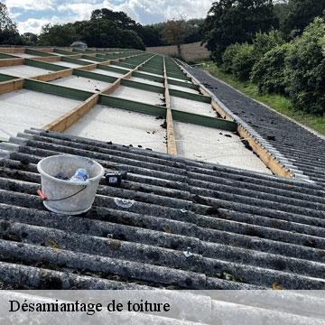Désamiantage de toiture  pamiers-09100 ALTURA Toiture 