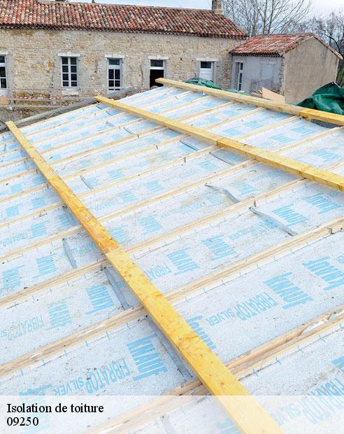 Isolation de toiture  appy-09250 ALTURA Toiture 