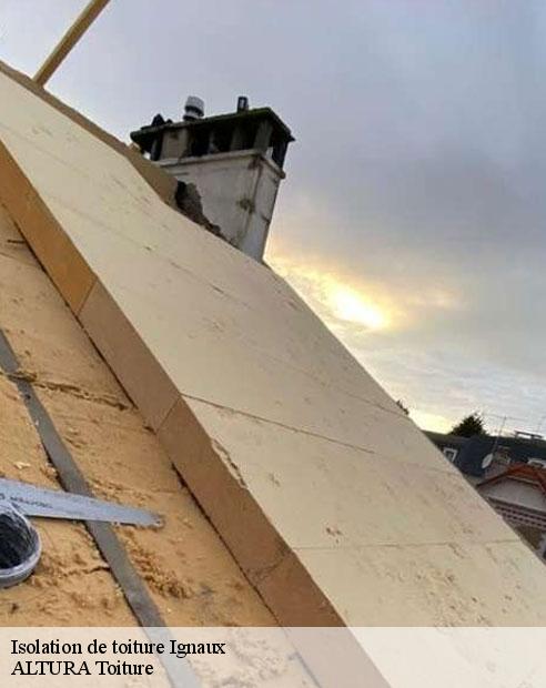 Isolation de toiture  ignaux-09110 ALTURA Toiture 
