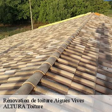 Rénovation de toiture aigues-vives-09600 ALTURA Toiture