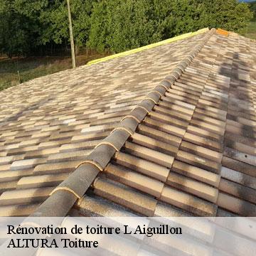 Rénovation de toiture  l-aiguillon-09300 ALTURA Toiture 