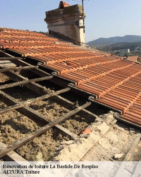 Rénovation de toiture  la-bastide-de-besplas-09350 ALTURA Toiture 
