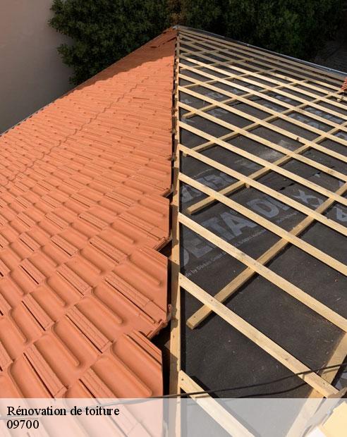 Rénovation de toiture  la-bastide-de-lordat-09700 ALTURA Toiture 