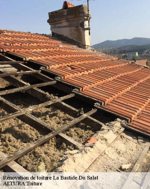 Rénovation de toiture  la-bastide-du-salat-09160 ALTURA Toiture 