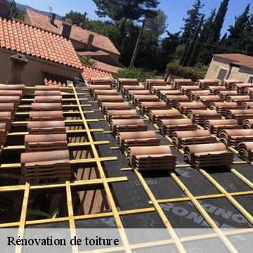 Rénovation de toiture  orgibet-09800 ALTURA Toiture 