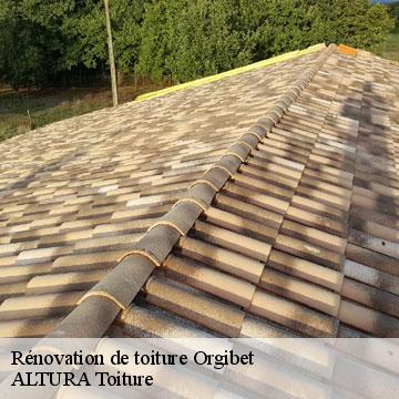 Rénovation de toiture  orgibet-09800 ALTURA Toiture 