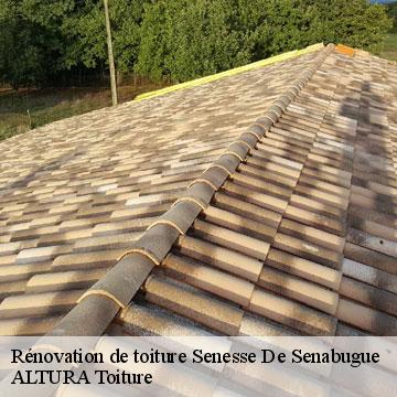 Rénovation de toiture  senesse-de-senabugue-09600 ALTURA Toiture 