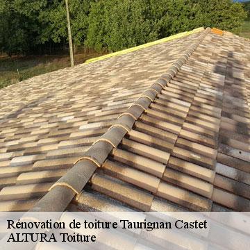 Rénovation de toiture  taurignan-castet-09160 ALTURA Toiture 
