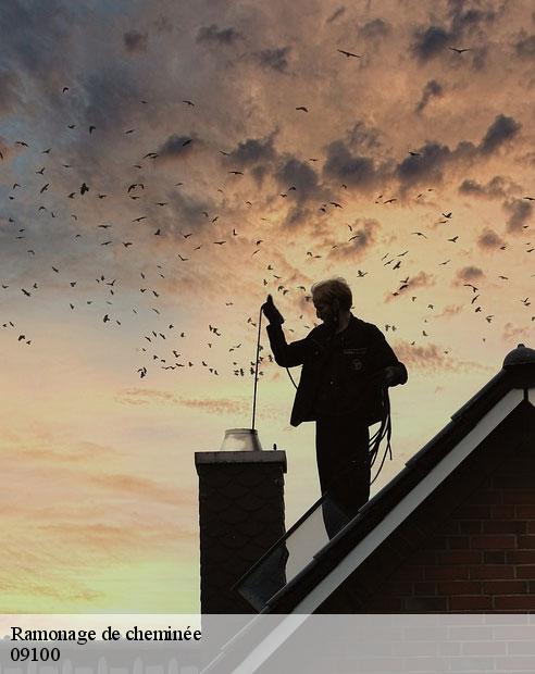 Ramonage de cheminée  madiere-09100 ALTURA Toiture 