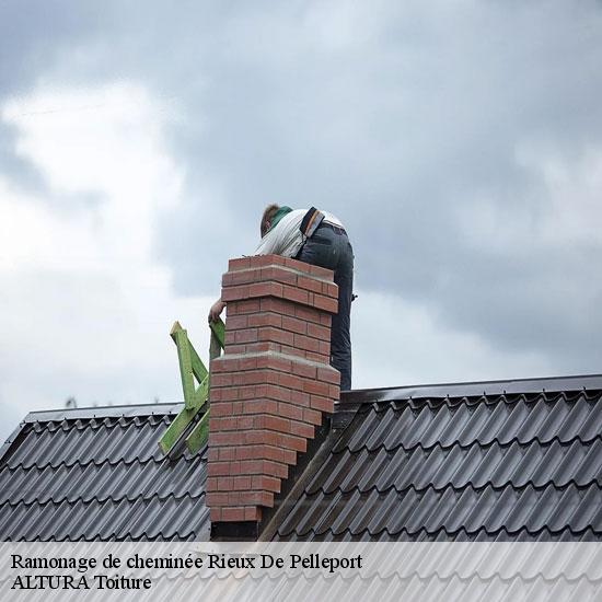 Ramonage de cheminée  rieux-de-pelleport-09120 ALTURA Toiture 