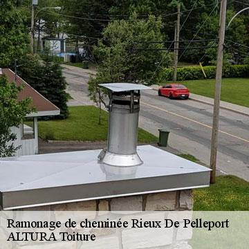 Ramonage de cheminée  rieux-de-pelleport-09120 ALTURA Toiture 