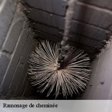 Ramonage de cheminée  taurignan-vieux-09190 ALTURA Toiture 