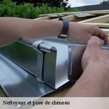 Nettoyage et pose de cheneau  albies-09310 ALTURA Toiture 