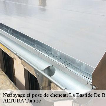 Nettoyage et pose de cheneau  la-bastide-de-bousignac-09500 ALTURA Toiture 