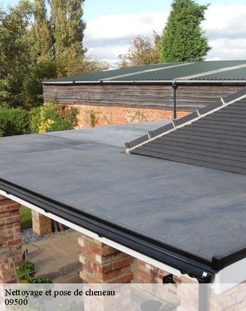 Nettoyage et pose de cheneau  cazals-des-bayles-09500 ALTURA Toiture 