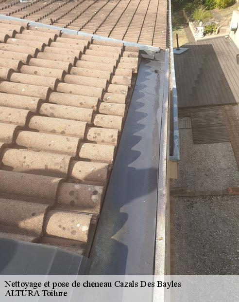 Nettoyage et pose de cheneau  cazals-des-bayles-09500 ALTURA Toiture 