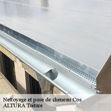 Nettoyage et pose de cheneau  cos-09000 ALTURA Toiture 