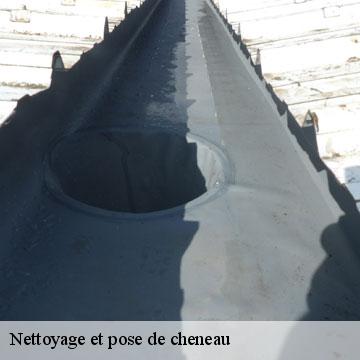 Nettoyage et pose de cheneau  engravies-09600 ALTURA Toiture 