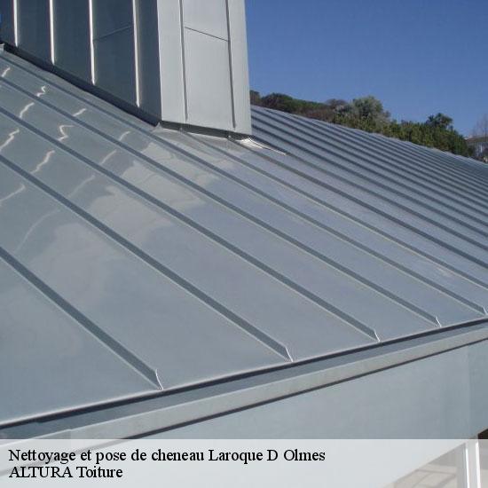 Nettoyage et pose de cheneau  laroque-d-olmes-09600 ALTURA Toiture 