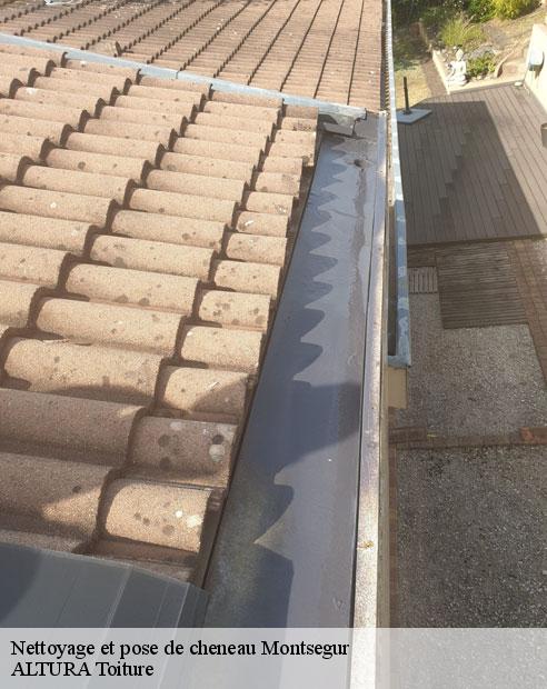 Nettoyage et pose de cheneau  montsegur-09300 ALTURA Toiture 