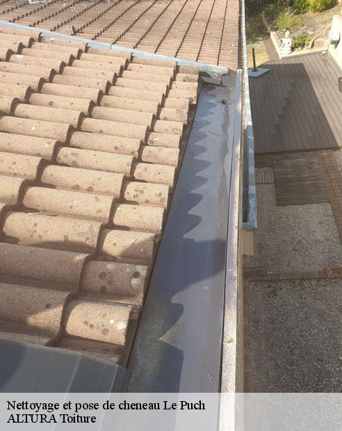 Nettoyage et pose de cheneau  le-puch-09460 ALTURA Toiture 