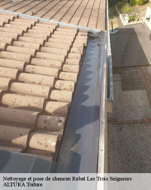 Nettoyage et pose de cheneau  rabat-les-trois-seigneurs-09400 ALTURA Toiture 