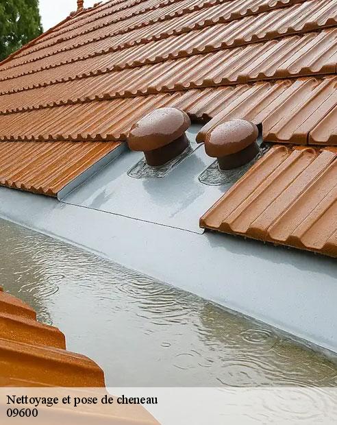 Nettoyage et pose de cheneau  regat-09600 ALTURA Toiture 