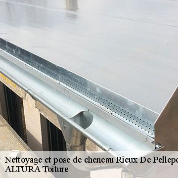 Nettoyage et pose de cheneau  rieux-de-pelleport-09120 ALTURA Toiture 