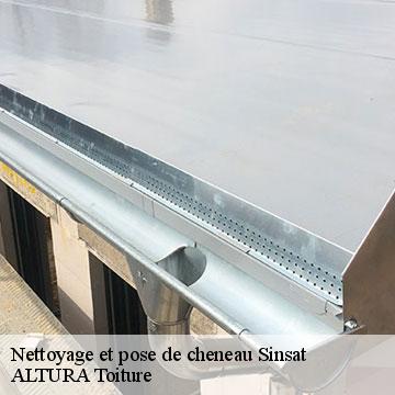 Nettoyage et pose de cheneau  sinsat-09310 ALTURA Toiture 