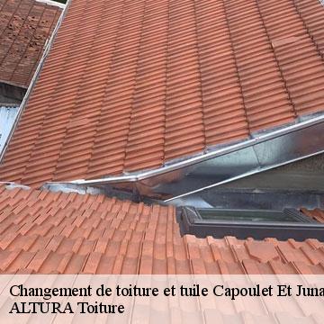 Changement de toiture et tuile  capoulet-et-junac-09400 ALTURA Toiture 