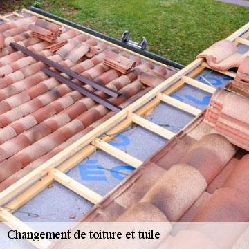 Changement de toiture et tuile meras-09350 ALTURA Toiture