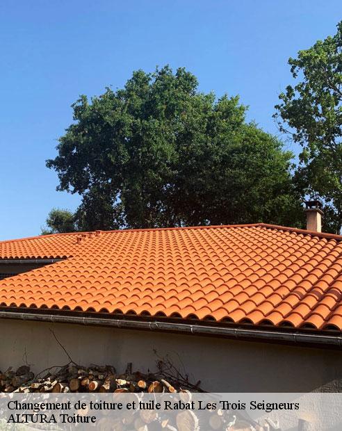 Changement de toiture et tuile  rabat-les-trois-seigneurs-09400 ALTURA Toiture 