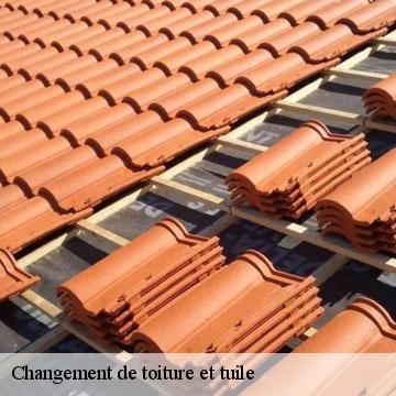 Changement de toiture et tuile  saverdun-09700 ALTURA Toiture 
