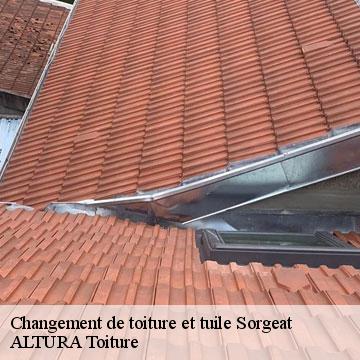 Changement de toiture et tuile  sorgeat-09110 ALTURA Toiture 