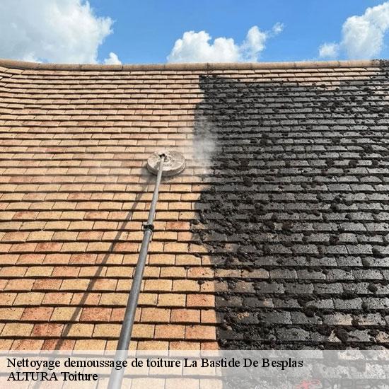 Nettoyage demoussage de toiture  la-bastide-de-besplas-09350 ALTURA Toiture 