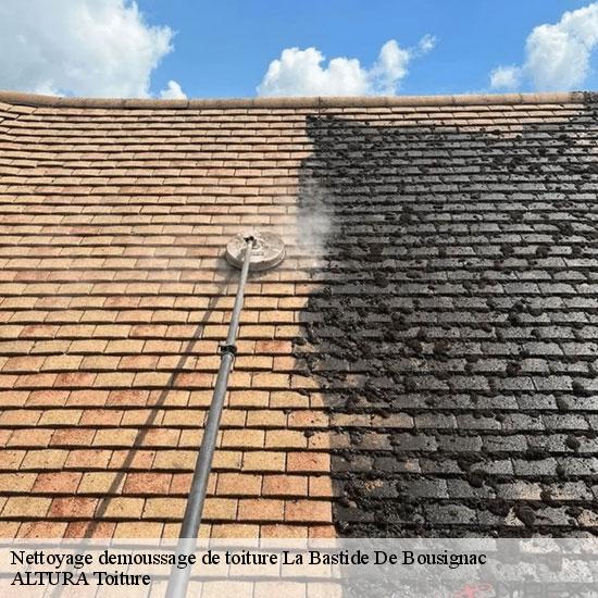 Nettoyage demoussage de toiture  la-bastide-de-bousignac-09500 ALTURA Toiture 