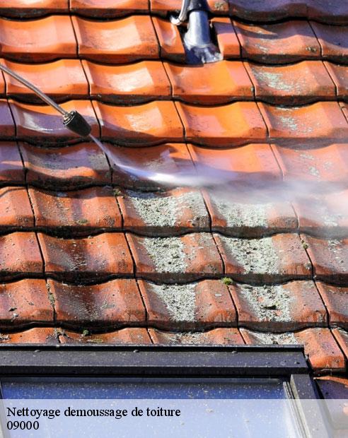 Nettoyage demoussage de toiture  baulou-09000 ALTURA Toiture 