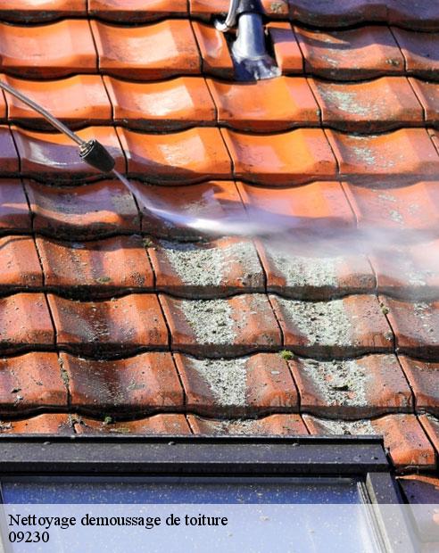 Nettoyage demoussage de toiture  cerizols-09230 ALTURA Toiture 