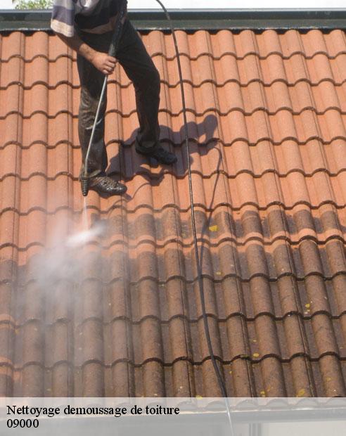 Nettoyage demoussage de toiture  ferrieres-sur-ariege-09000 ALTURA Toiture 