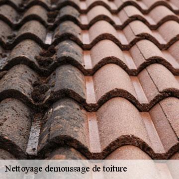 Nettoyage demoussage de toiture  illartein-09800 ALTURA Toiture 