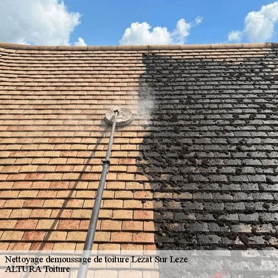 Nettoyage demoussage de toiture  lezat-sur-leze-09210 ALTURA Toiture 