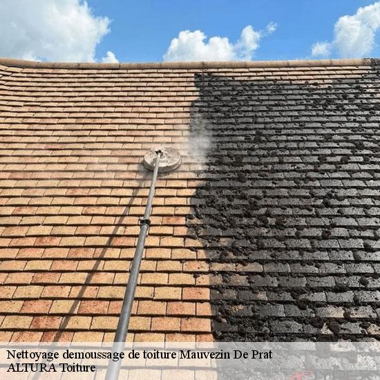 Nettoyage demoussage de toiture  mauvezin-de-prat-09160 ALTURA Toiture 