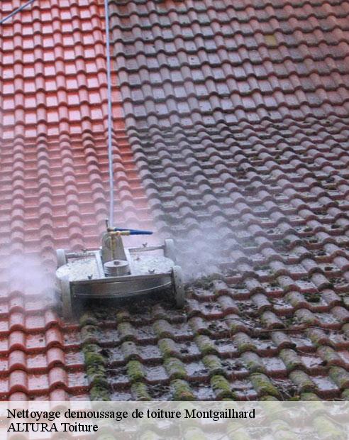 Nettoyage demoussage de toiture  montgailhard-09330 ALTURA Toiture 