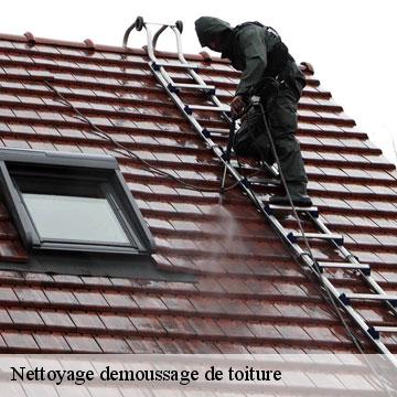 Nettoyage demoussage de toiture  sem-09220 ALTURA Toiture 